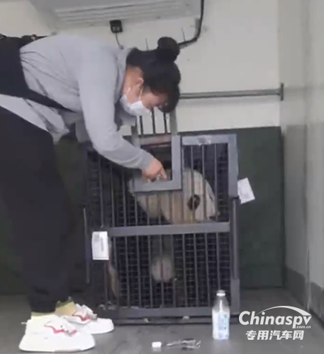 歐航歐馬可冷鏈一哥