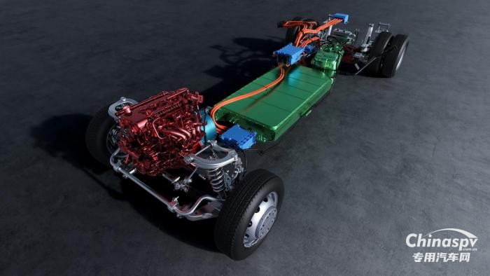 雙排小卡黃金之選！菱勢黃金卡雙排來了！